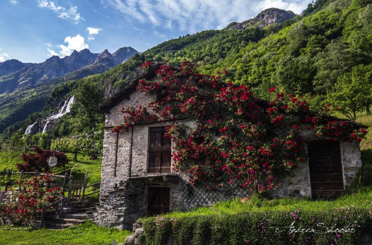 Ca Bregaglia - Appartamenti Per Vacanze Prosto di Piuro エクステリア 写真